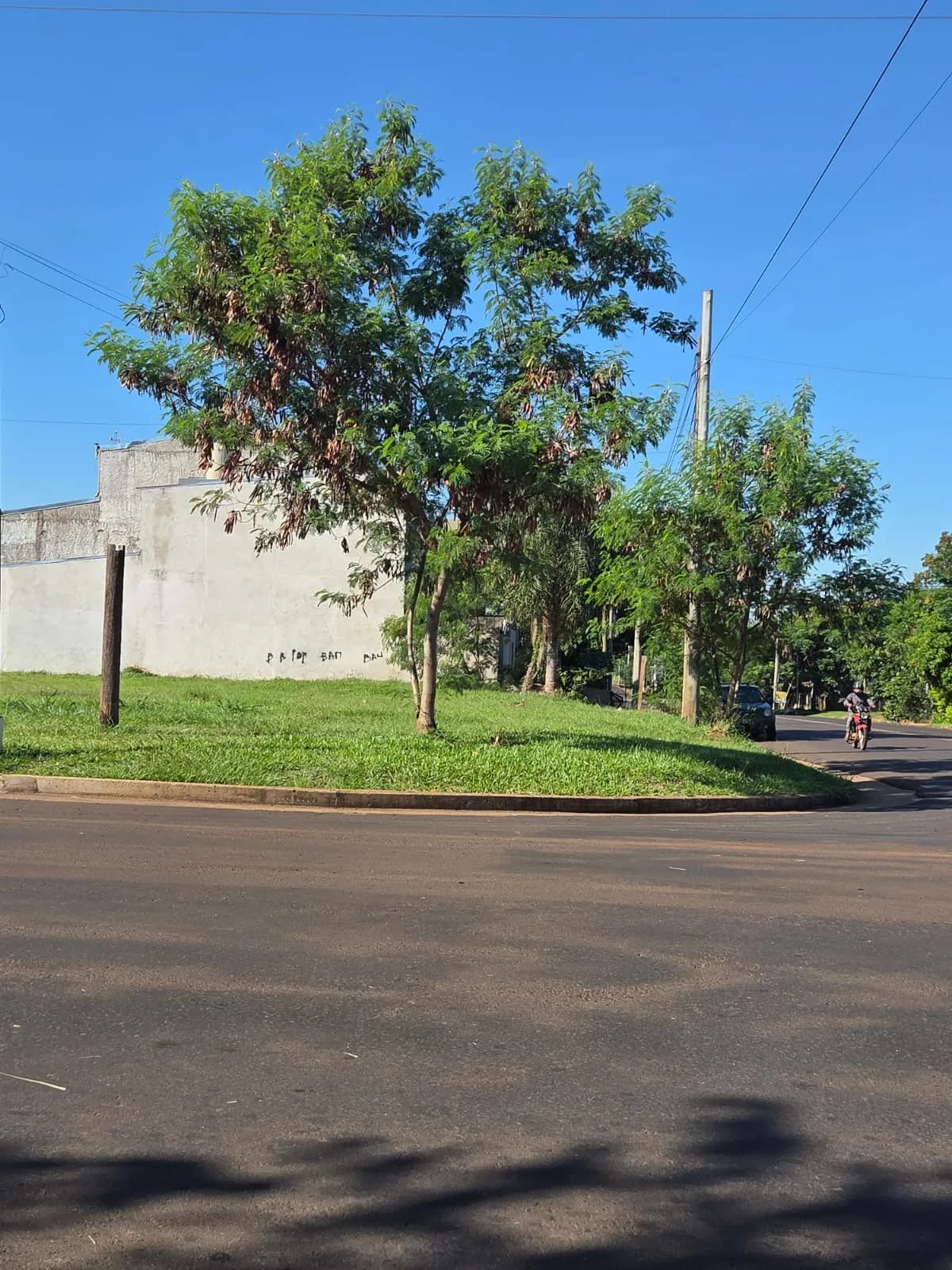 TERRENO ESQUINA SOBRE AVENIDA - imagen 3